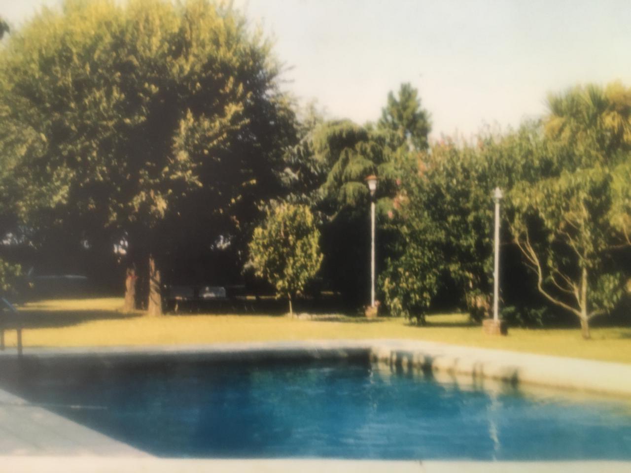 WhatsApp Image 2025-01-016 at 09.53.29.jpeg